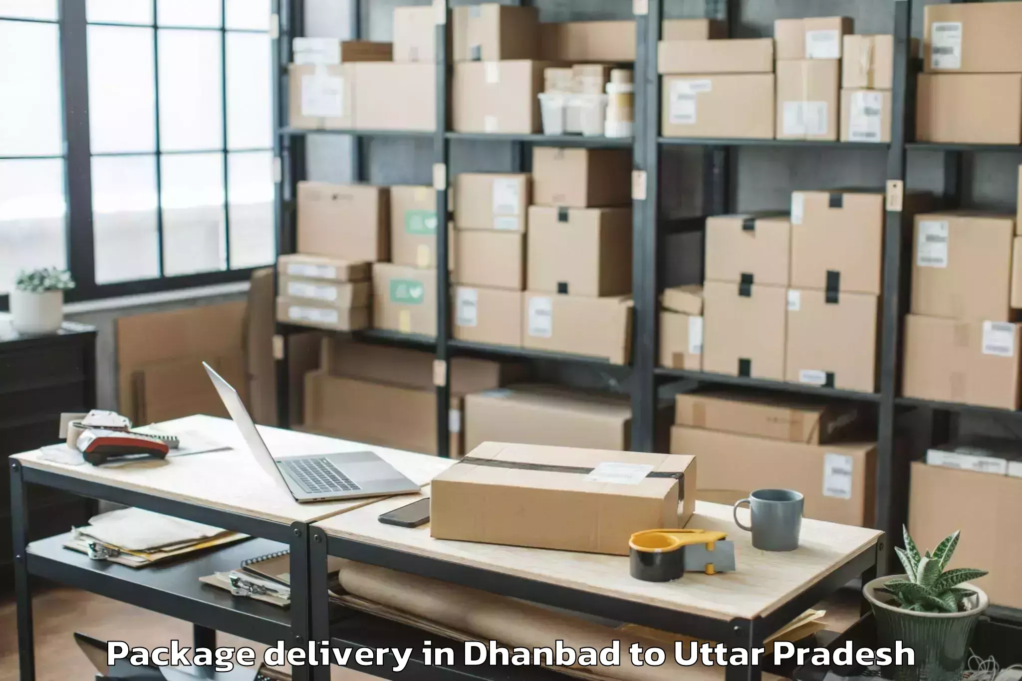 Professional Dhanbad to Logix City Centre Mall Package Delivery